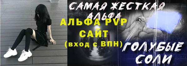 индика Белокуриха