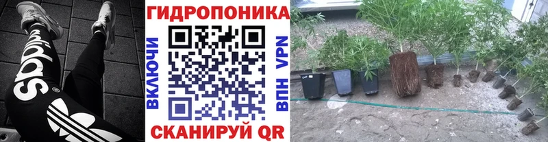 Шишки марихуана Ganja гидра маркетплейс Губаха закладки